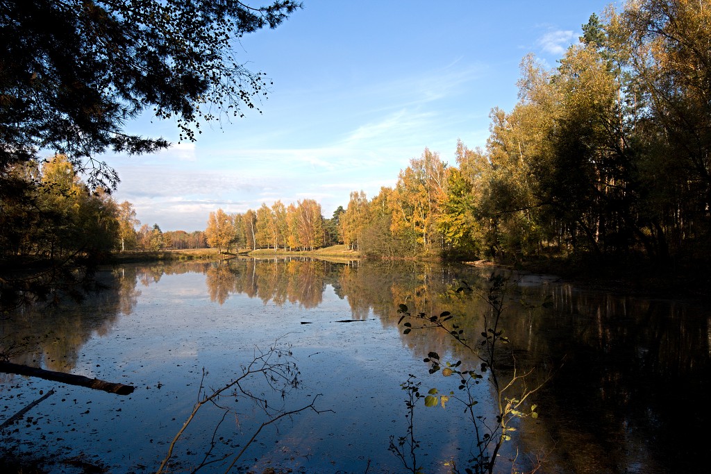 baronie van breda leemputten boswachterij dorst mastbos chaamse bossen Liesbos Vuchtpolder hdr bos Strijbeekse Heide staatsbosbeheer